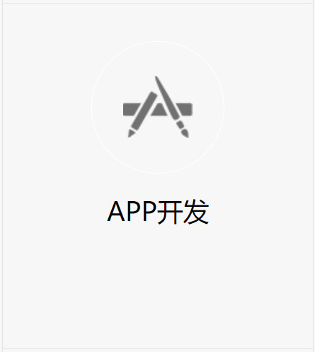 APP开发